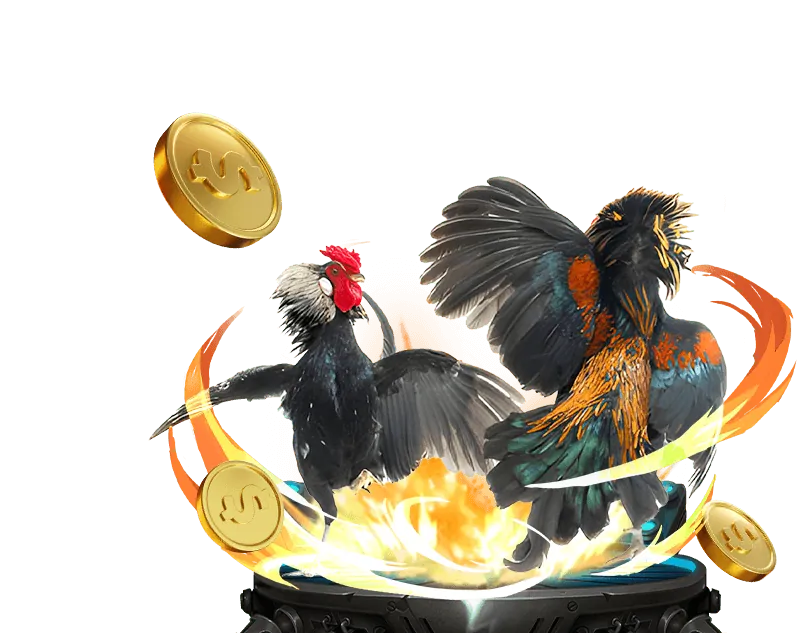 Cá cược Thể thao OKVIP